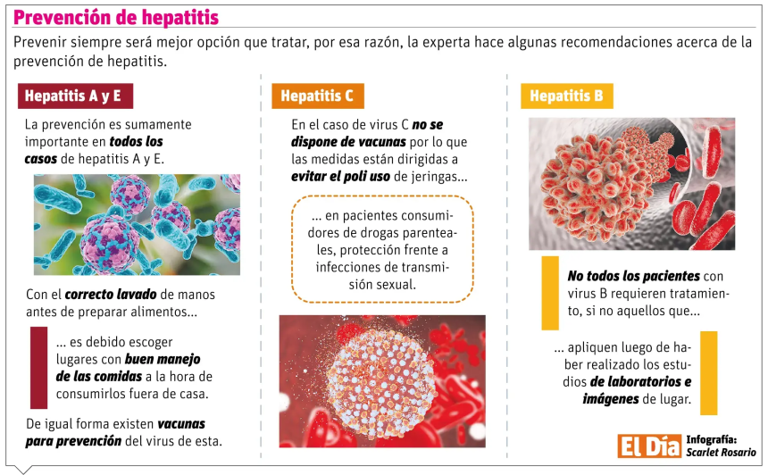 Todo lo que se debe saber sobre las hepatitis virales