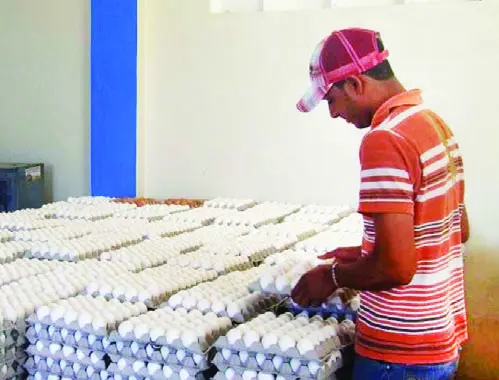 Inespre vende a cien huevos Dajabón