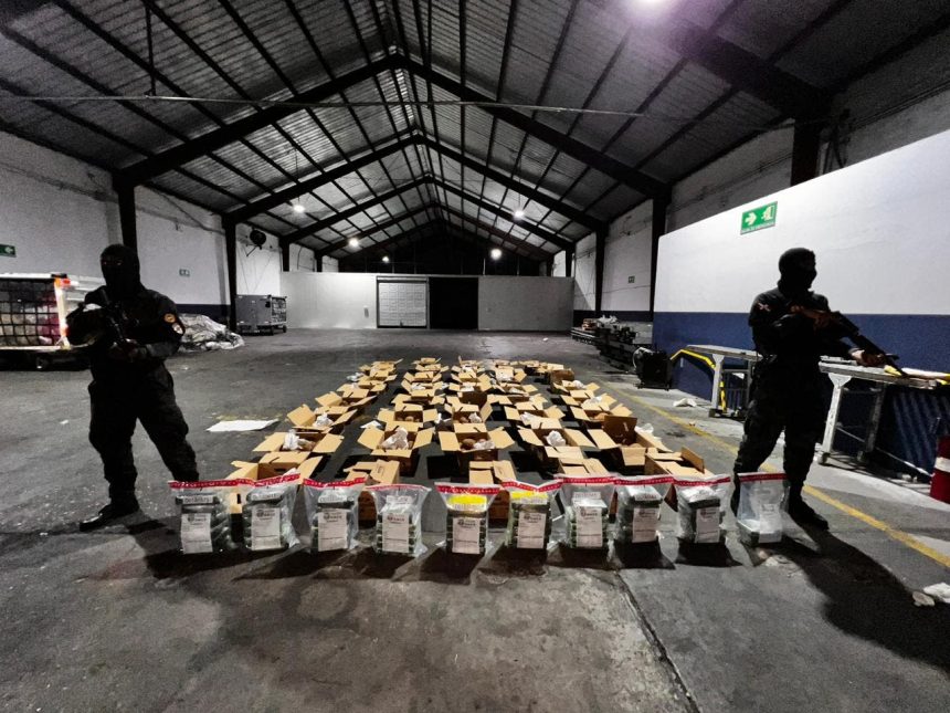 Ocupan 56 paquetes de cocaína en carga de cocos en el AILA